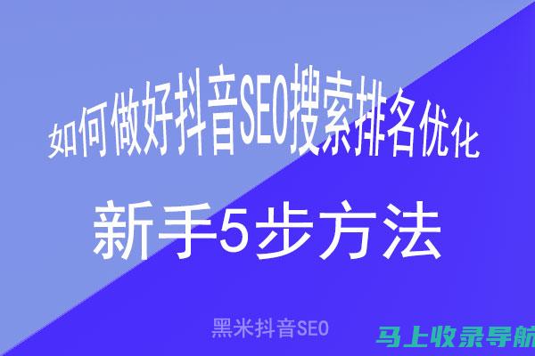 抖音SEO排名优化实战指南：打造高效推广计划的秘诀